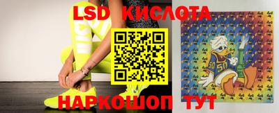 apvp Будённовск