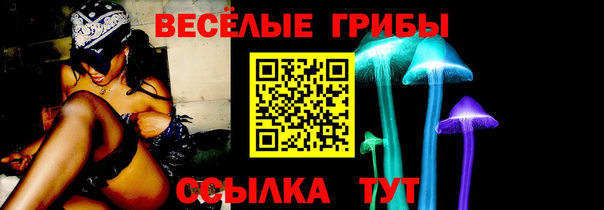 Туймазы  Псилоцибиновые грибы Cubensis  Вход с VPN  Галлюциногенные грибы мухоморы 